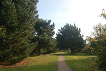 Tiddenfoot Waterside Park October 2008